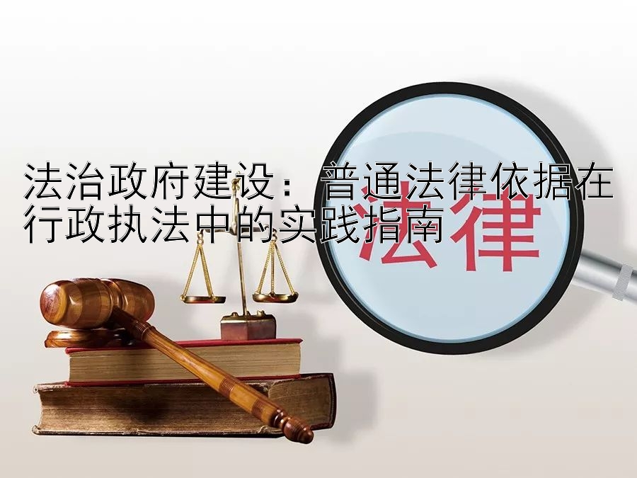 法治政府建设：普通法律依据在行政执法中的实践指南