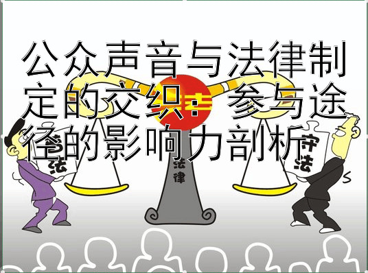 公众声音与法律制定的交织：参与途径的影响力剖析