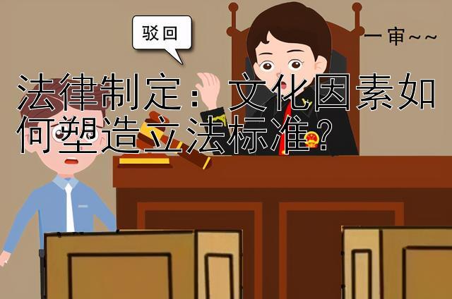 法律制定：文化因素如何塑造立法标准？