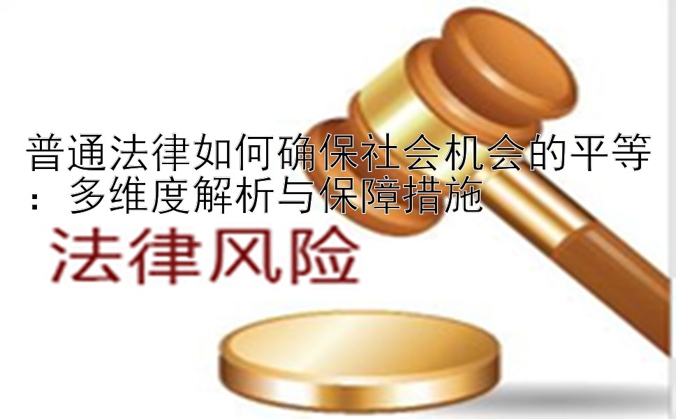 普通法律如何确保社会机会的平等：多维度解析与保障措施