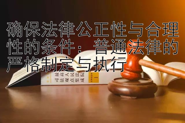 确保法律公正性与合理性的条件：普通法律的严格制定与执行