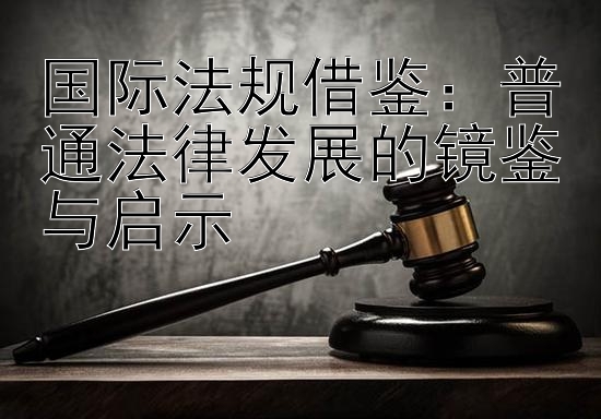 国际法规借鉴：普通法律发展的镜鉴与启示