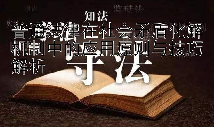 普通法律在社会矛盾化解机制中的应用原则与技巧解析