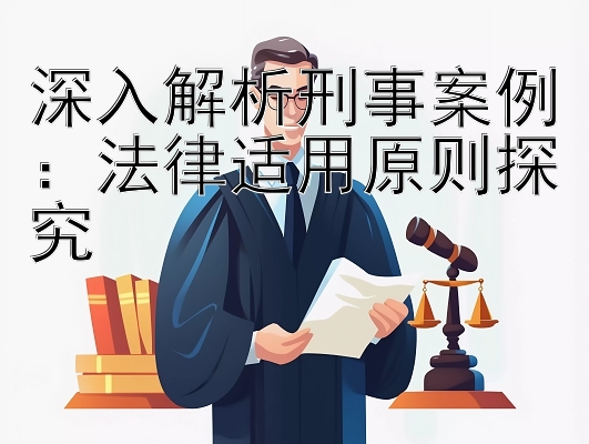 深入解析刑事案例：法律适用原则探究