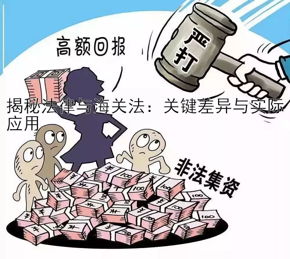 揭秘法律与海关法：关键差异与实际应用