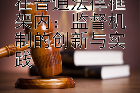 在普通法律框架内：监督机制的创新与实践