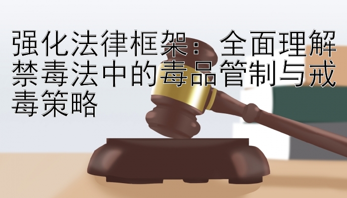 强化法律框架：全面理解禁毒法中的毒品管制与戒毒策略