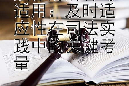 法律的解释与适用：及时适应性在司法实践中的关键考量