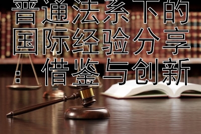 普通法系下的国际经验分享：借鉴与创新