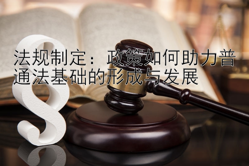 法规制定：政策如何助力普通法基础的形成与发展