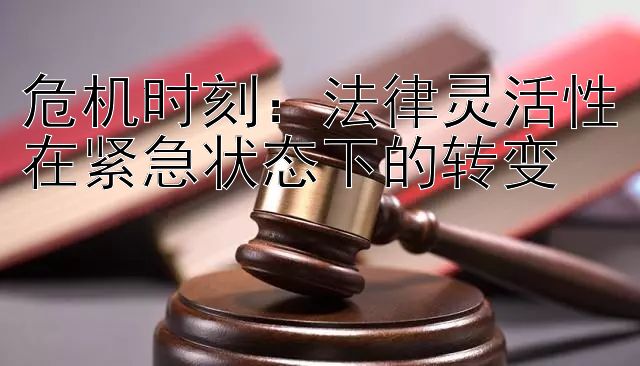 危机时刻：法律灵活性在紧急状态下的转变