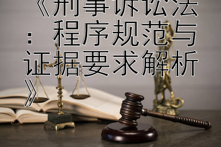 《刑事诉讼法：程序规范与证据要求解析》