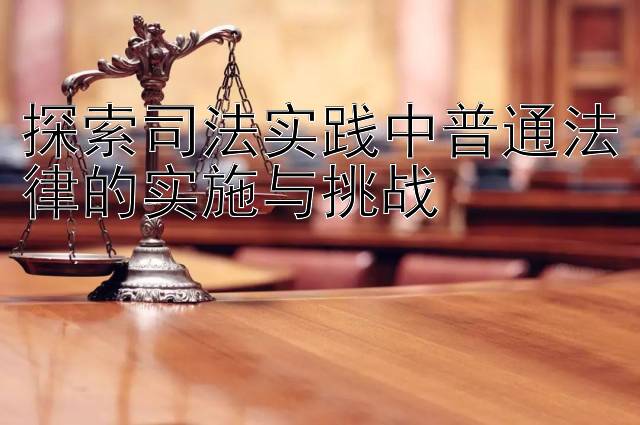 探索司法实践中普通法律的实施与挑战