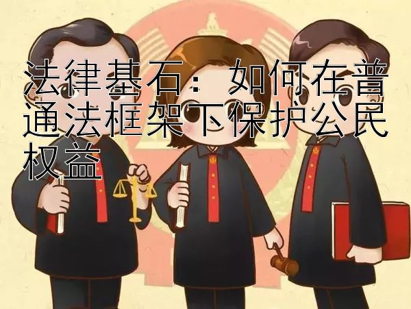 法律基石：如何在普通法框架下保护公民权益