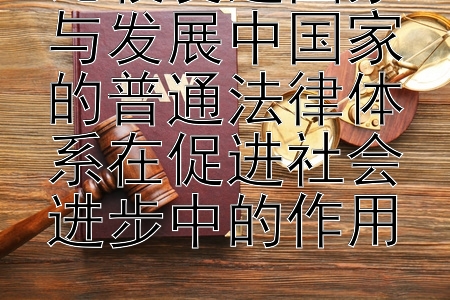 比较发达国家与发展中国家的普通法律体系在促进社会进步中的作用