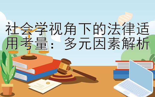 社会学视角下的法律适用考量：多元因素解析