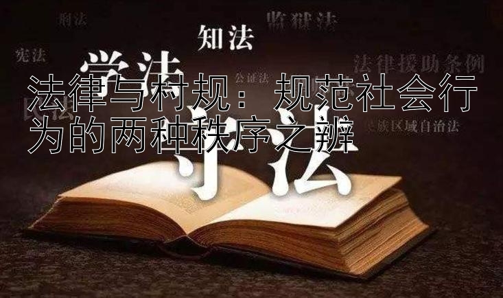 法律与村规：规范社会行为的两种秩序之辨