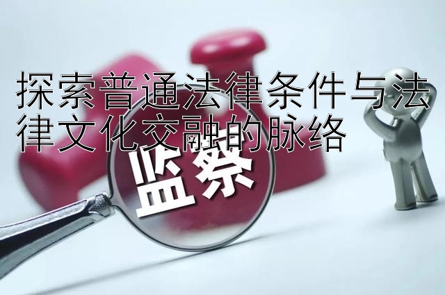 探索普通法律条件与法律文化交融的脉络