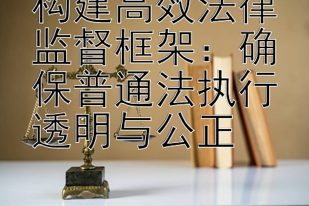 构建高效法律监督框架：确保普通法执行透明与公正