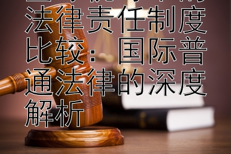 全球视野下的法律责任制度比较：国际普通法律的深度解析