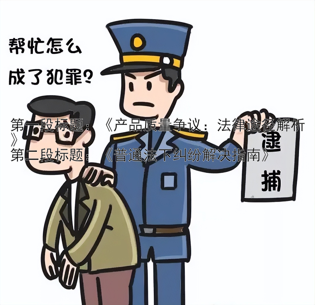 《产品质量争议：法律途径解析》《普通法下纠纷解决指南》