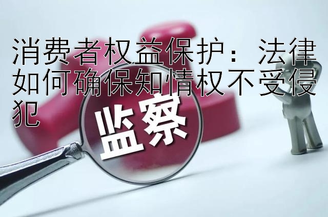 消费者权益保护：法律如何确保知情权不受侵犯