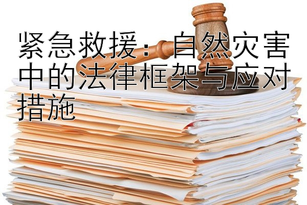 紧急救援：自然灾害中的法律框架与应对措施