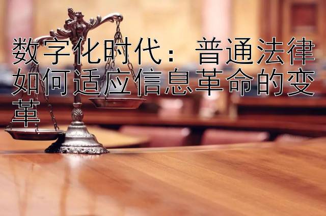 数字化时代：普通法律如何适应信息革命的变革