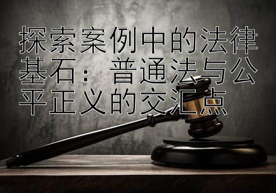 探索案例中的法律基石：普通法与公平正义的交汇点