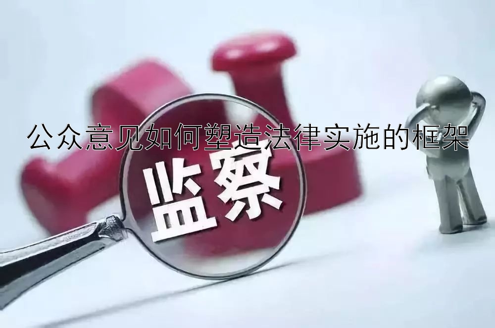 公众意见如何塑造法律实施的框架