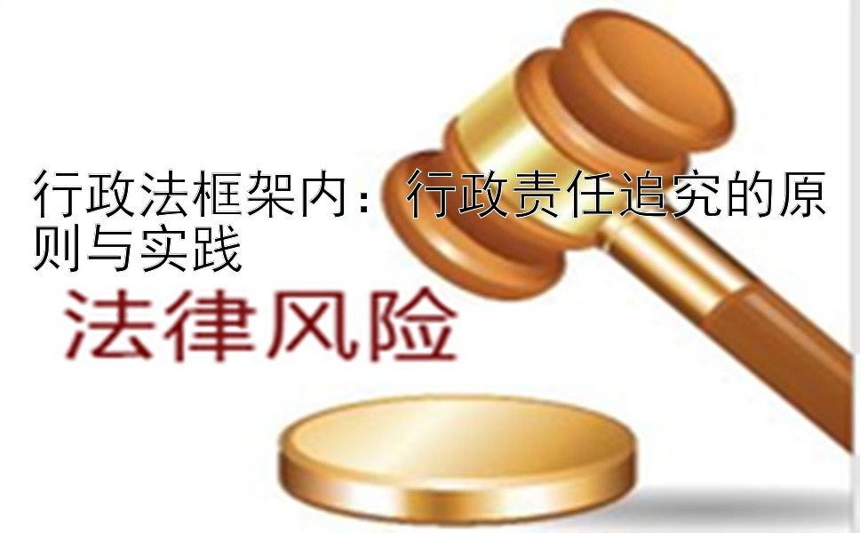 行政法框架内：行政责任追究的原则与实践