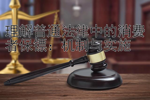 理解普通法律中的消费者保镖：机制与实施