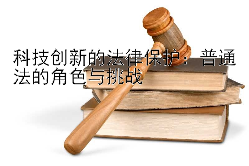 科技创新的法律保护：普通法的角色与挑战