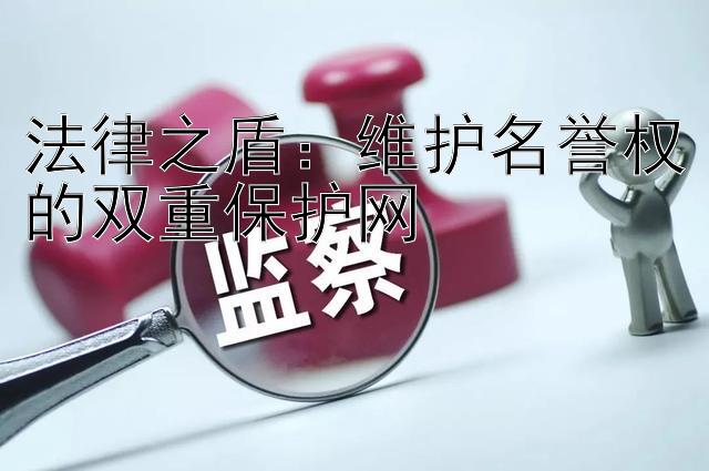 法律之盾：维护名誉权的双重保护网