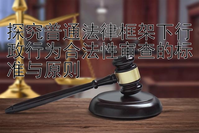 探究普通法律框架下行政行为合法性审查的标准与原则