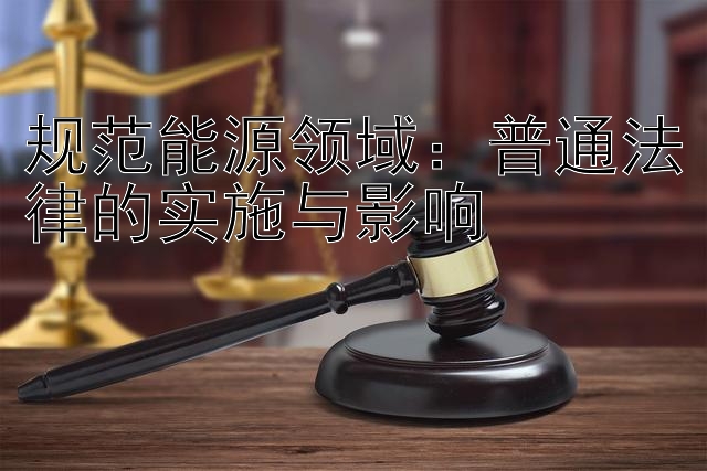 规范能源领域：普通法律的实施与影响