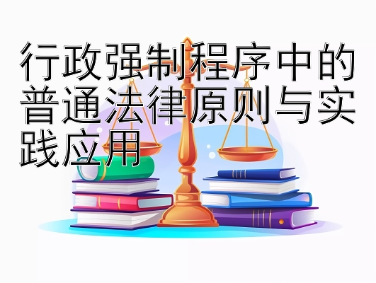 行政强制程序中的普通法律原则与实践应用