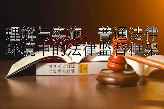 理解与实施：普通法律环境中的法律监督框架