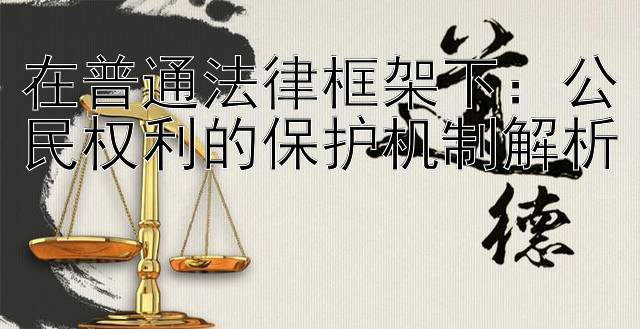 在普通法律框架下：公民权利的保护机制解析