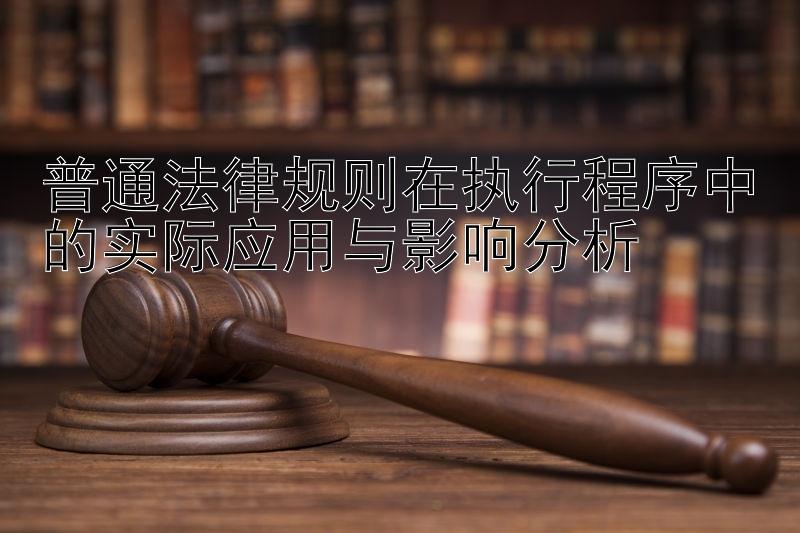 普通法律规则在执行程序中的实际应用与影响分析