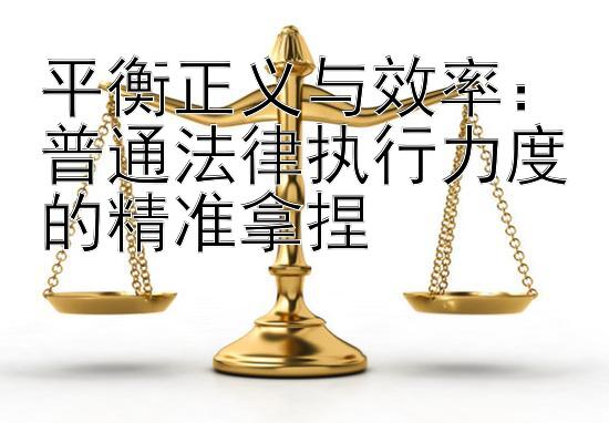 平衡正义与效率：普通法律执行力度的精准拿捏