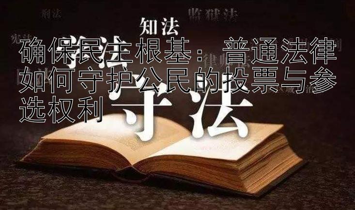 确保民主根基：普通法律如何守护公民的投票与参选权利