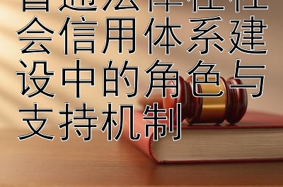 普通法律在社会信用体系建设中的角色与支持机制