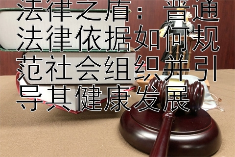 法律之盾：普通法律依据如何规范社会组织并引导其健康发展