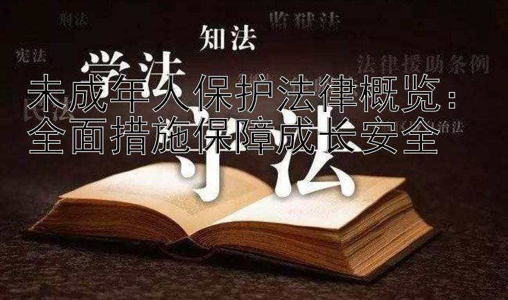 未成年人保护法律概览：全面措施保障成长安全