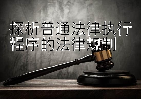 探析普通法律执行程序的法律规制