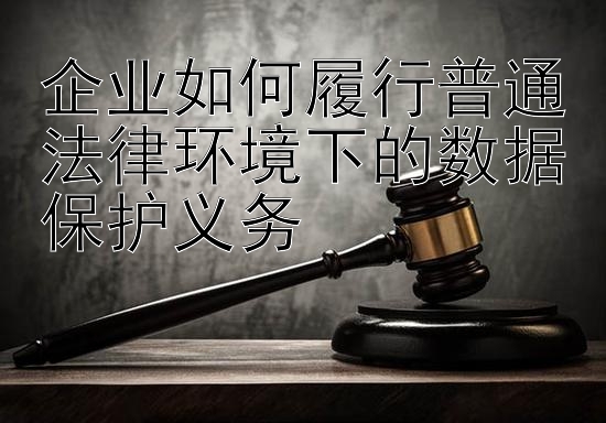 企业如何履行普通法律环境下的数据保护义务