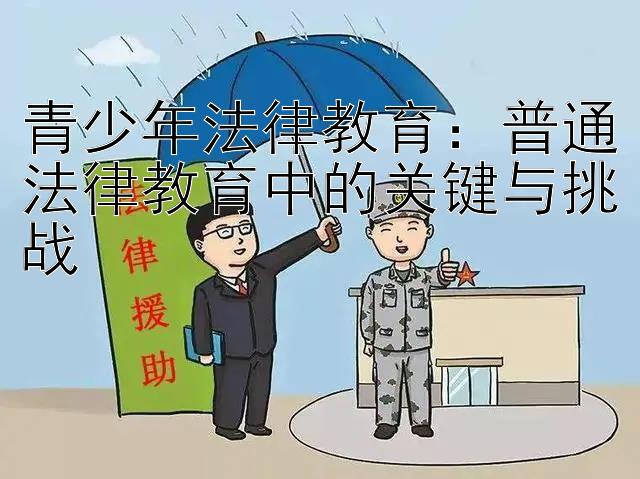 青少年法律教育：普通法律教育中的关键与挑战