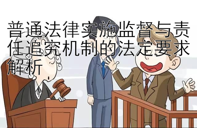 普通法律实施监督与责任追究机制的法定要求解析