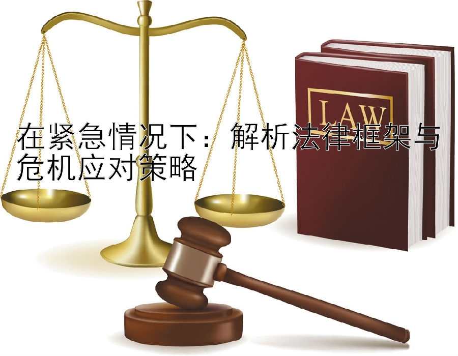 在紧急情况下：解析法律框架与危机应对策略